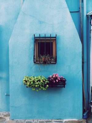 цветы на окне снаружи