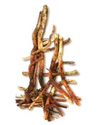 ризоктониоз