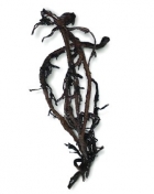 черная ножка