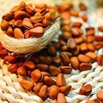 кедровые орехи для долголетия