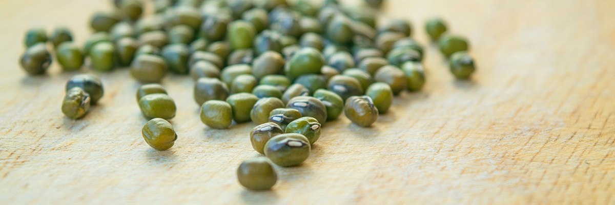 проращивание маша