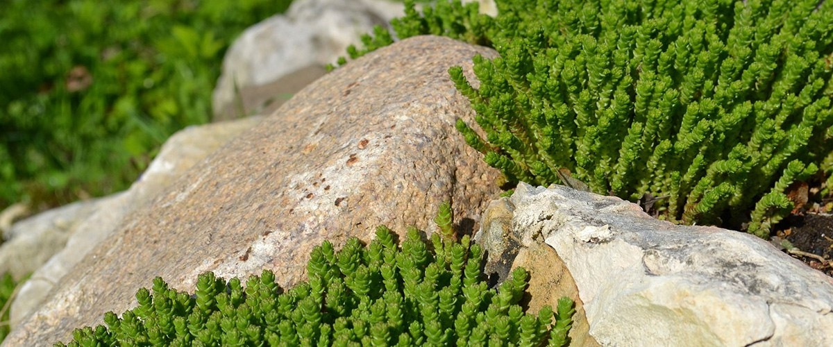 камни в саду