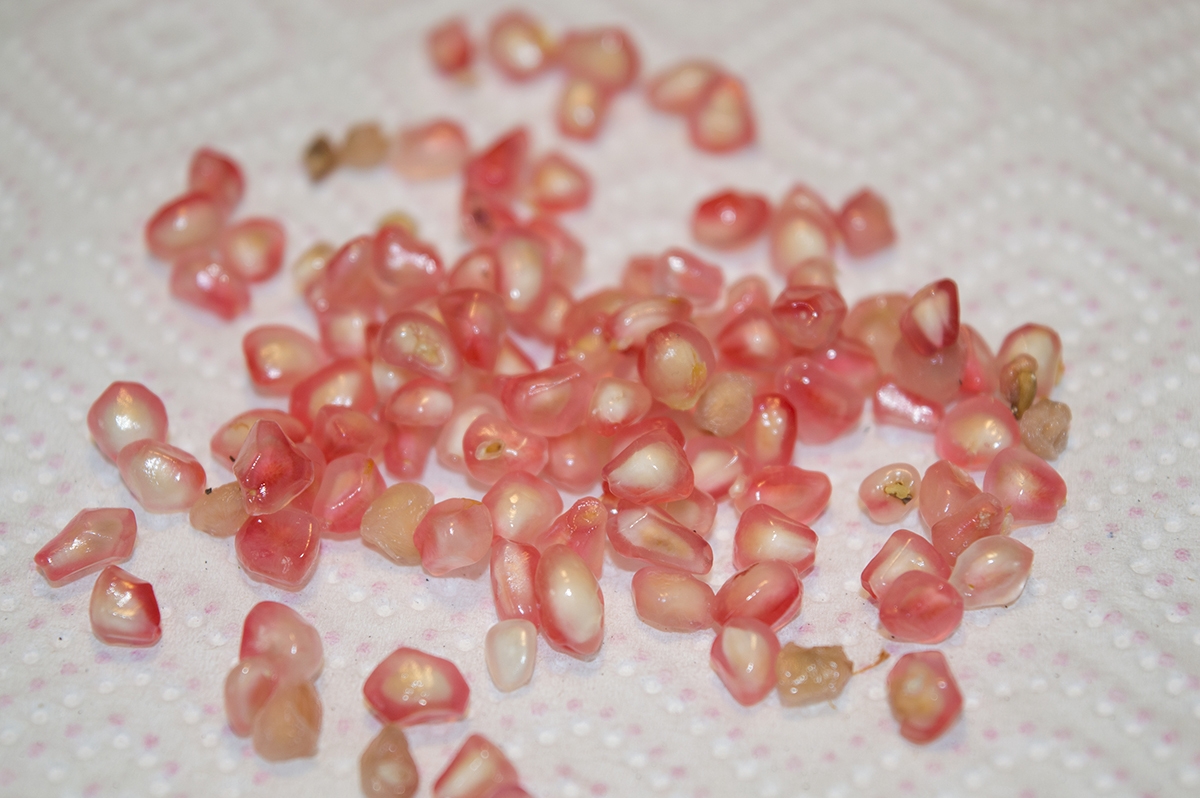 урожай с комнатного граната