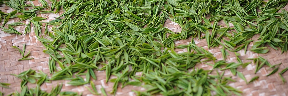 зеленый чай в домашних условиях