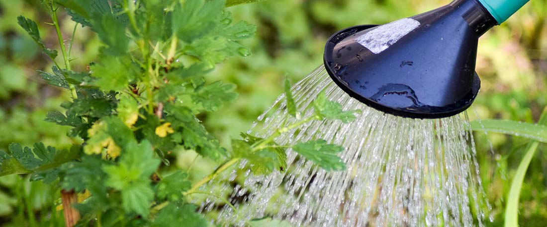 признаки недостатка и избытка калия