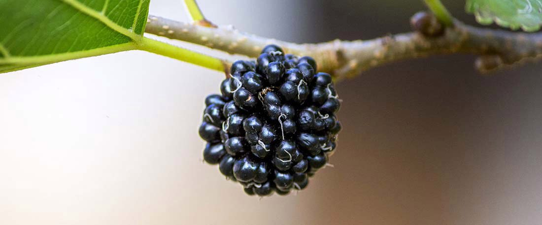 признаки недостатка и избытка кальция