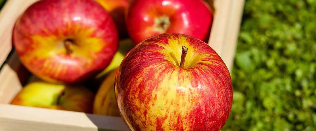 признаки недостатка и избытка железа