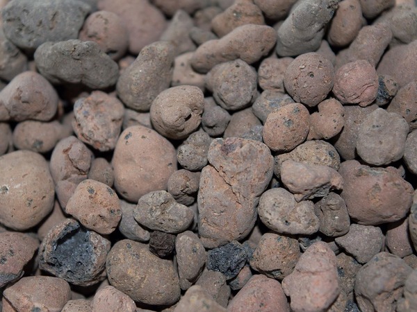 Керамзит для растений: зачем он нужен и чем его заменить