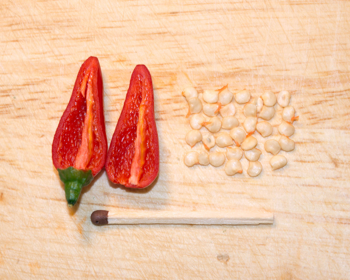 отзыв об остром перце Ивонна