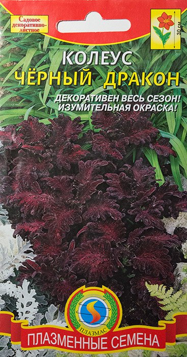 упаковка семян колеуса Черный дракон