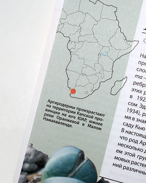 отзыв о книге о суперсуккулентах