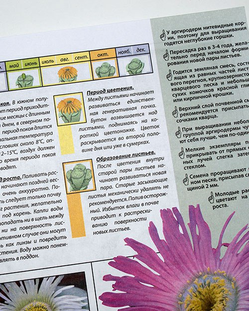 Рой Маккалистер, Литопсы и другие живые камни, отзыв