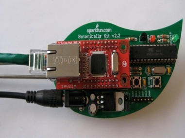 Твиты вашего растения