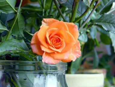 Теперь у нас есть Twitter