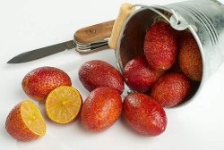 кровавый лайм