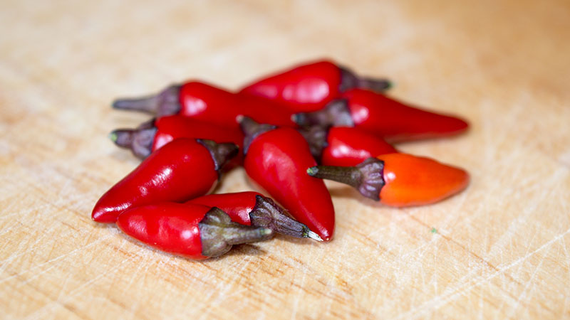 урожай с перца Explosive Ember в домашних условиях